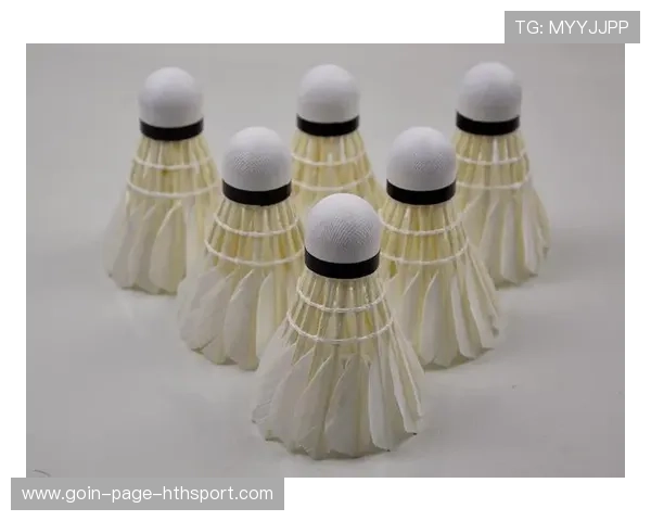 羽毛球国家队训练数据平台为战术升级提供支持