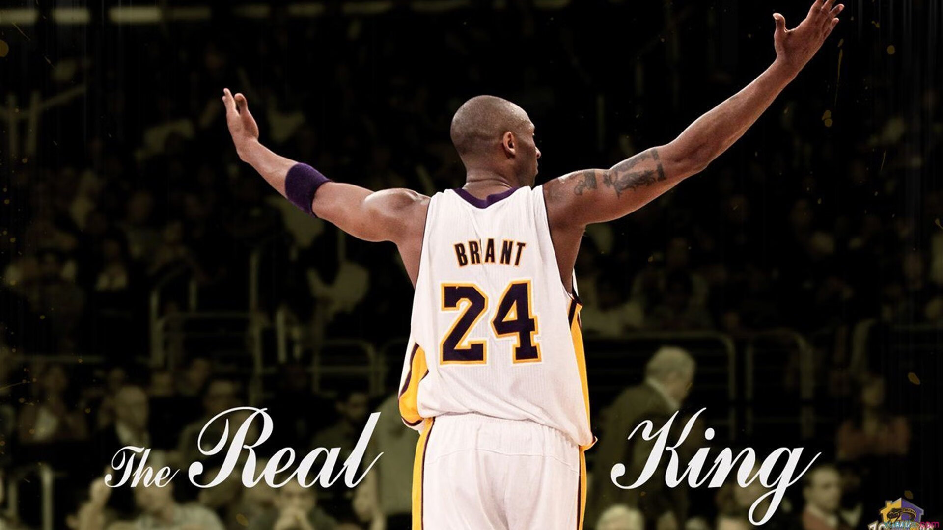 世界杯后多所大学新增“足球文化与管理”相关选修课